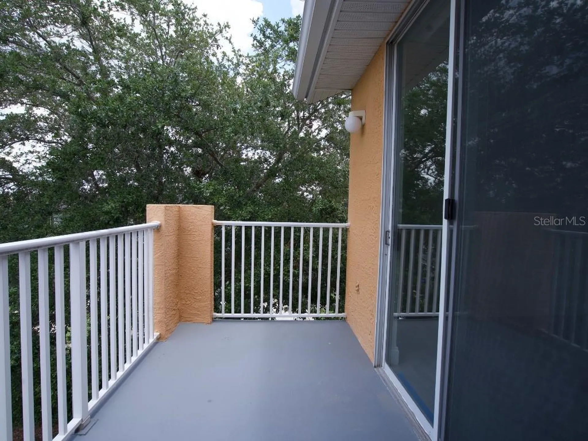 12208 Wild Iris Way Orlando FL 32837