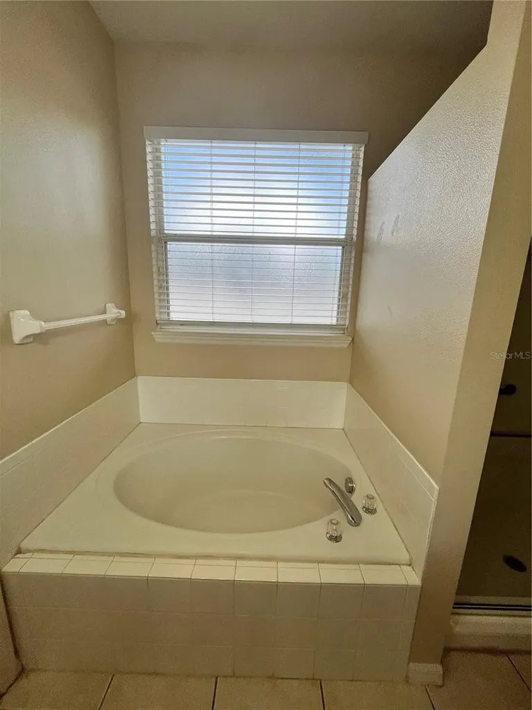919 Magnolia Blossom Court Apopka FL 32712