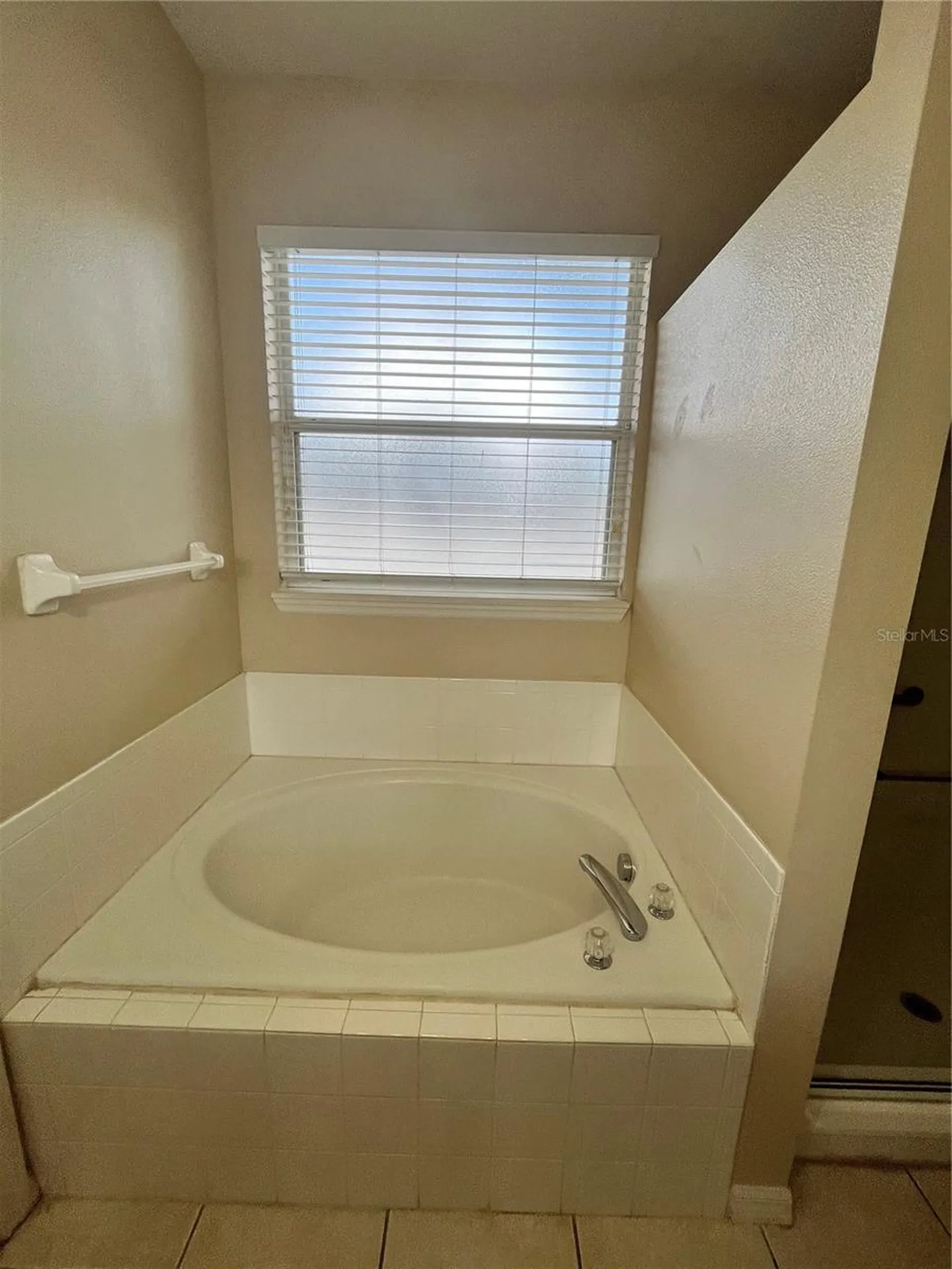 919 Magnolia Blossom Court Apopka FL 32712