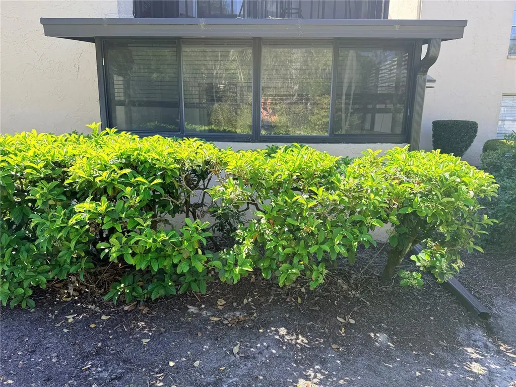 100 E Kentucky Avenue Deland FL 32724