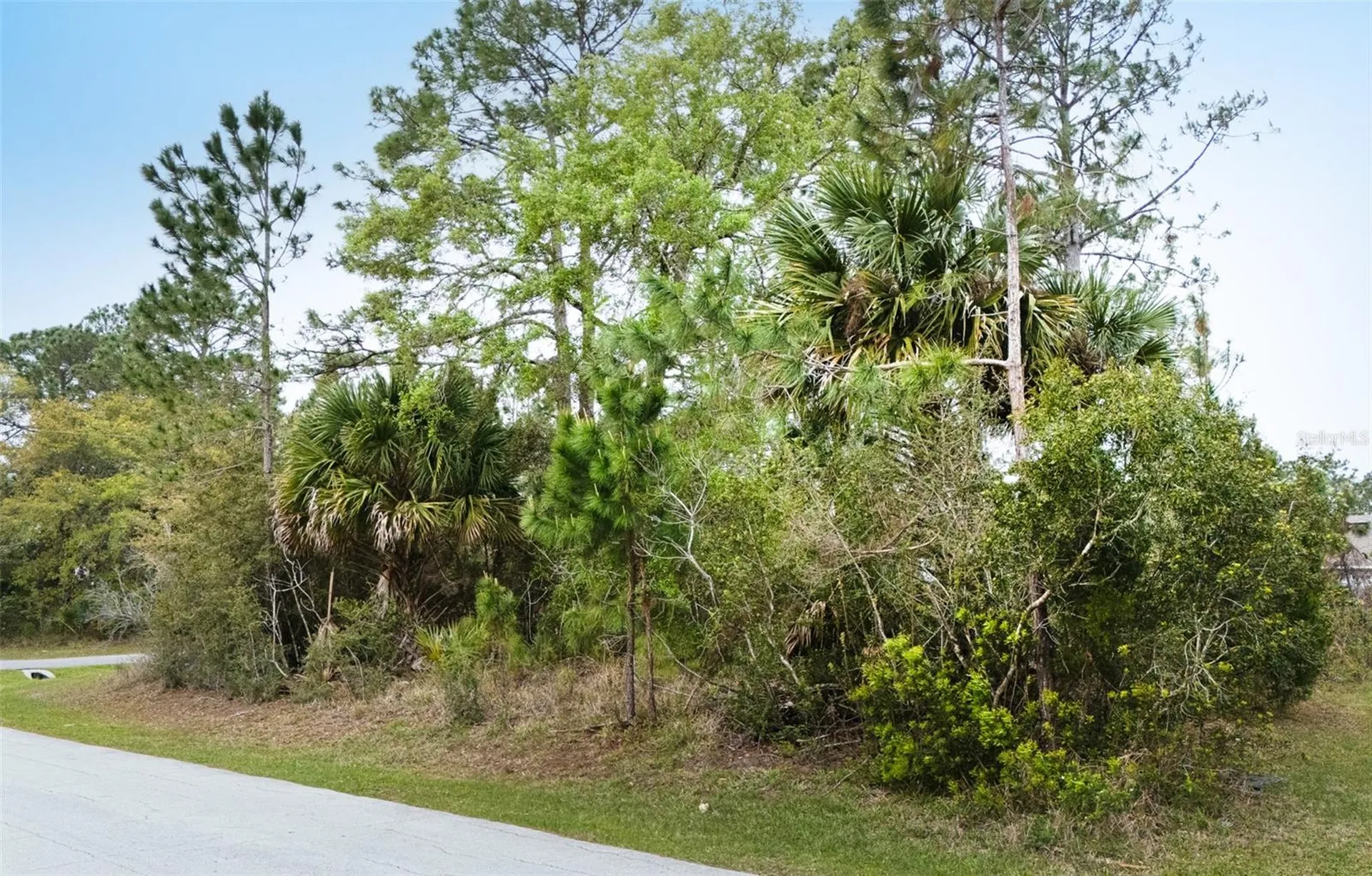96 Presidential Lane Palm Coast FL 32164
