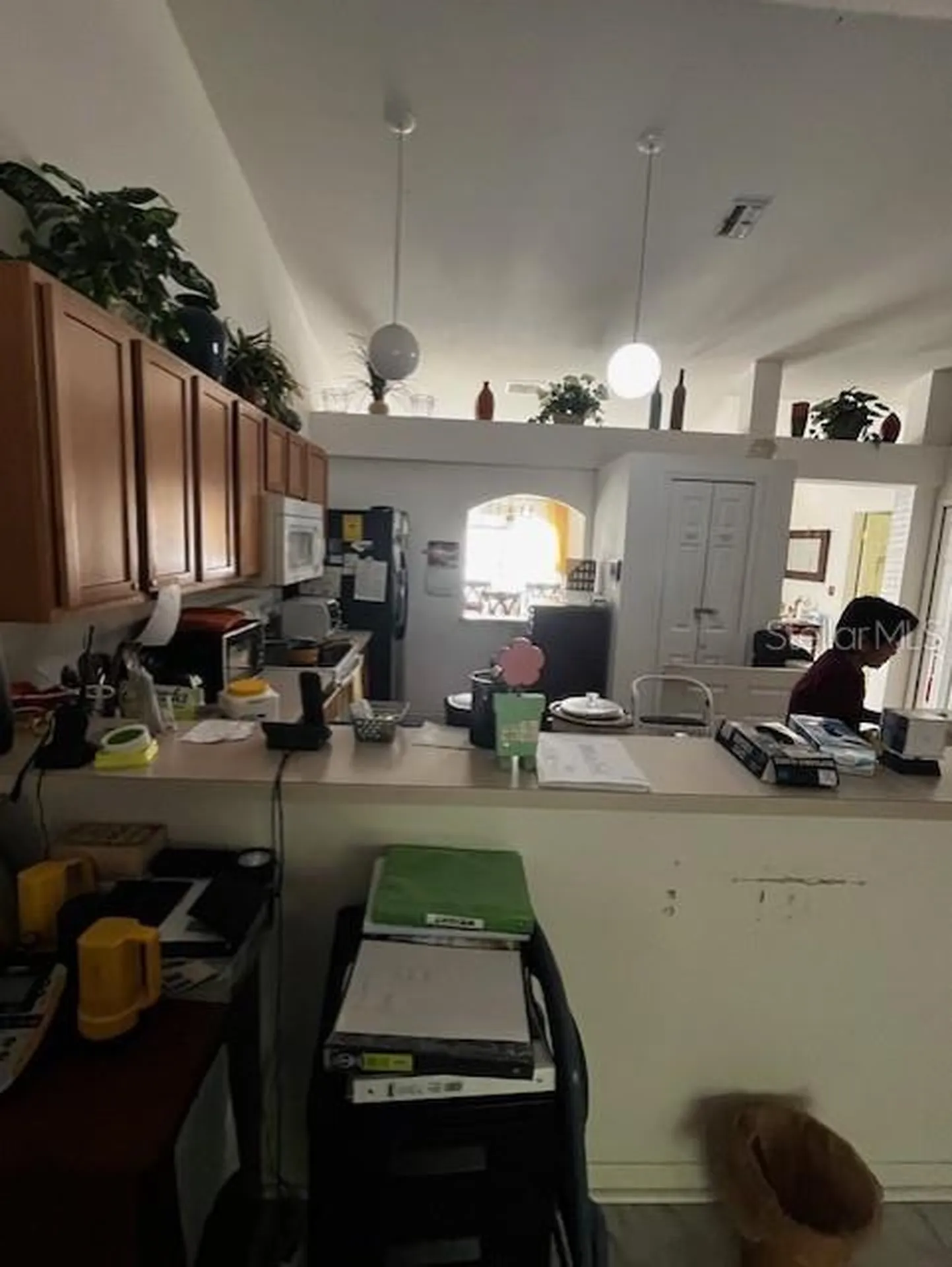 3010 Greynolds Avenue Spring Hill FL 34608