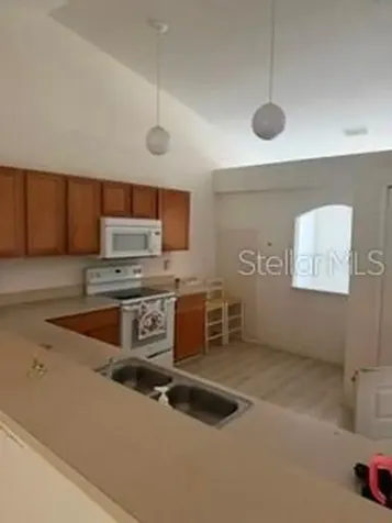 3010 Greynolds Avenue Spring Hill FL 34608