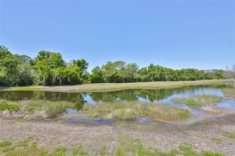 2423 Richmond Greens Court Sun City Center FL 33573