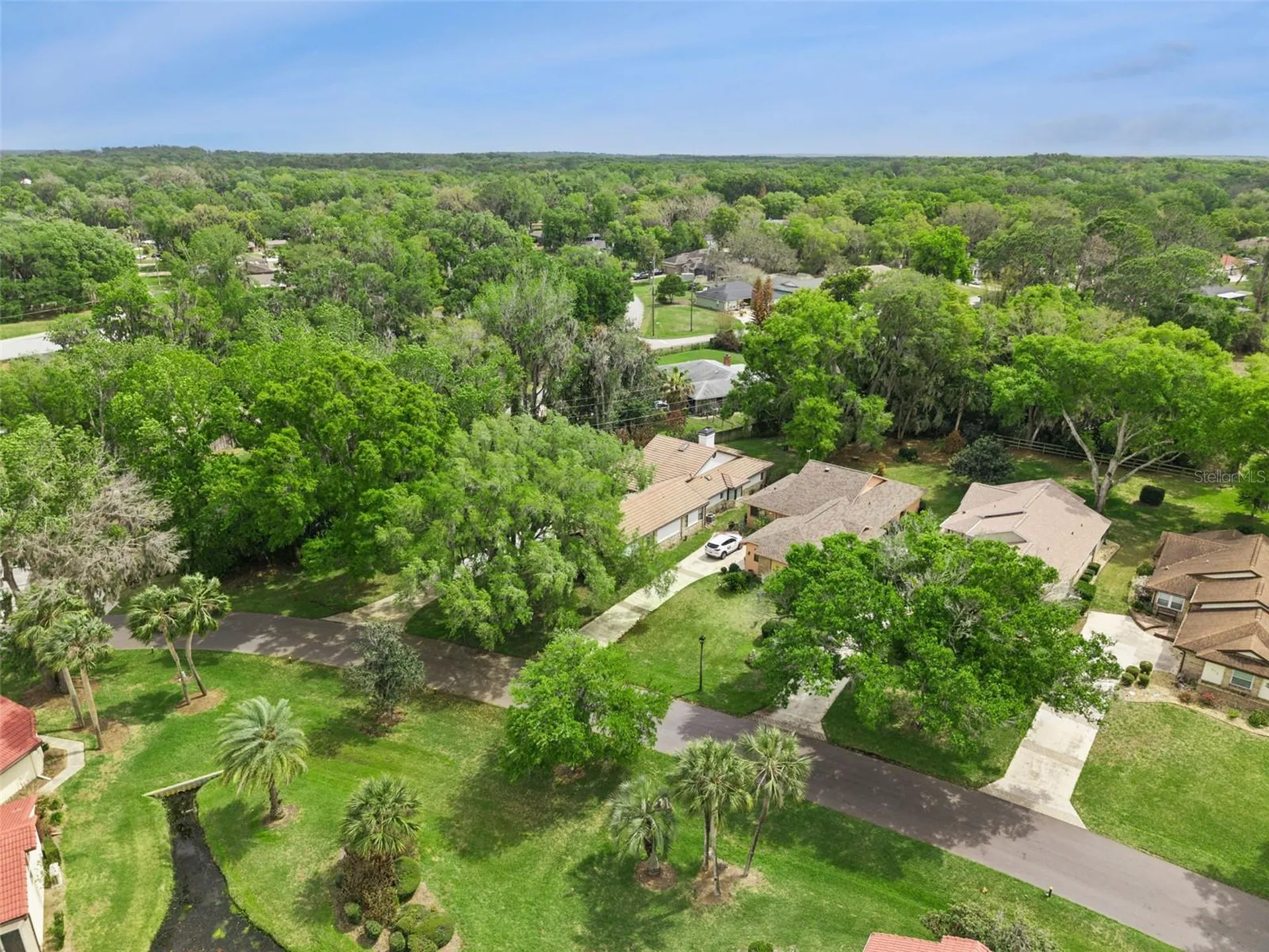 312 Waterwood Drive Yalaha FL 34797