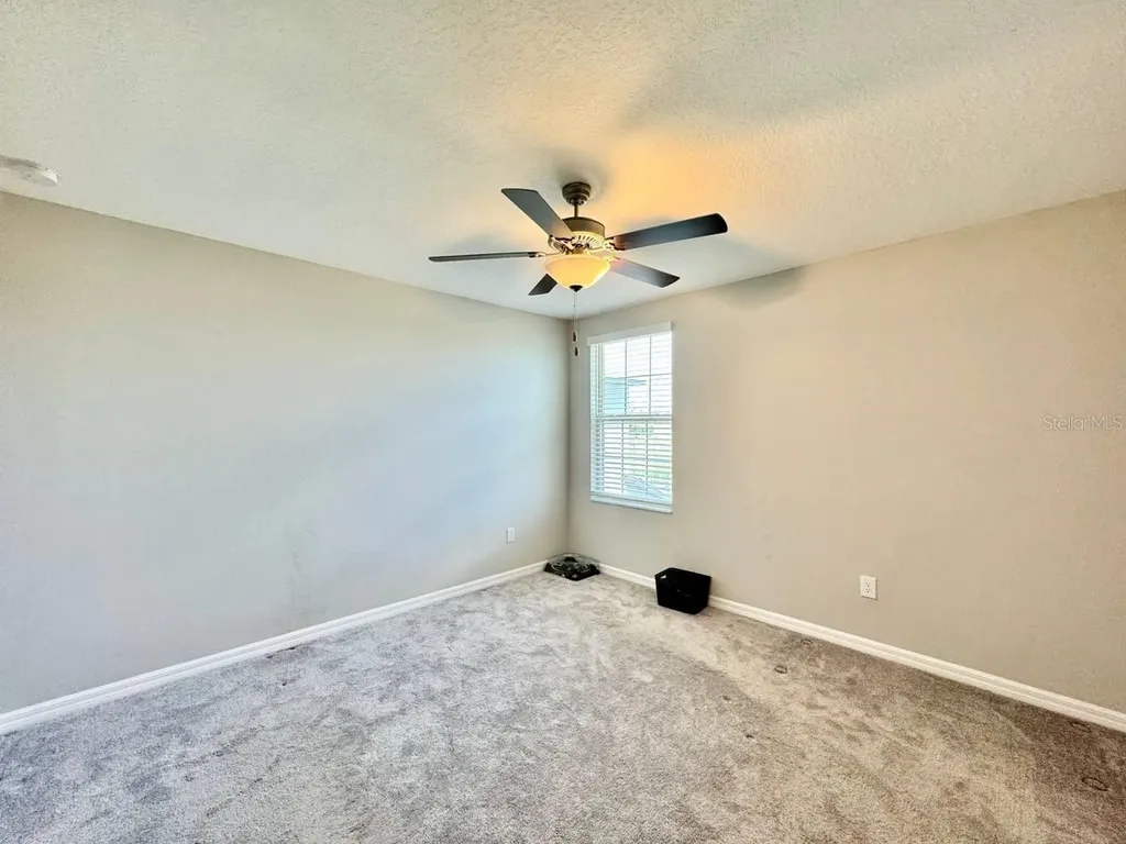 7309 Canterbury Bells Court Tampa FL 33619