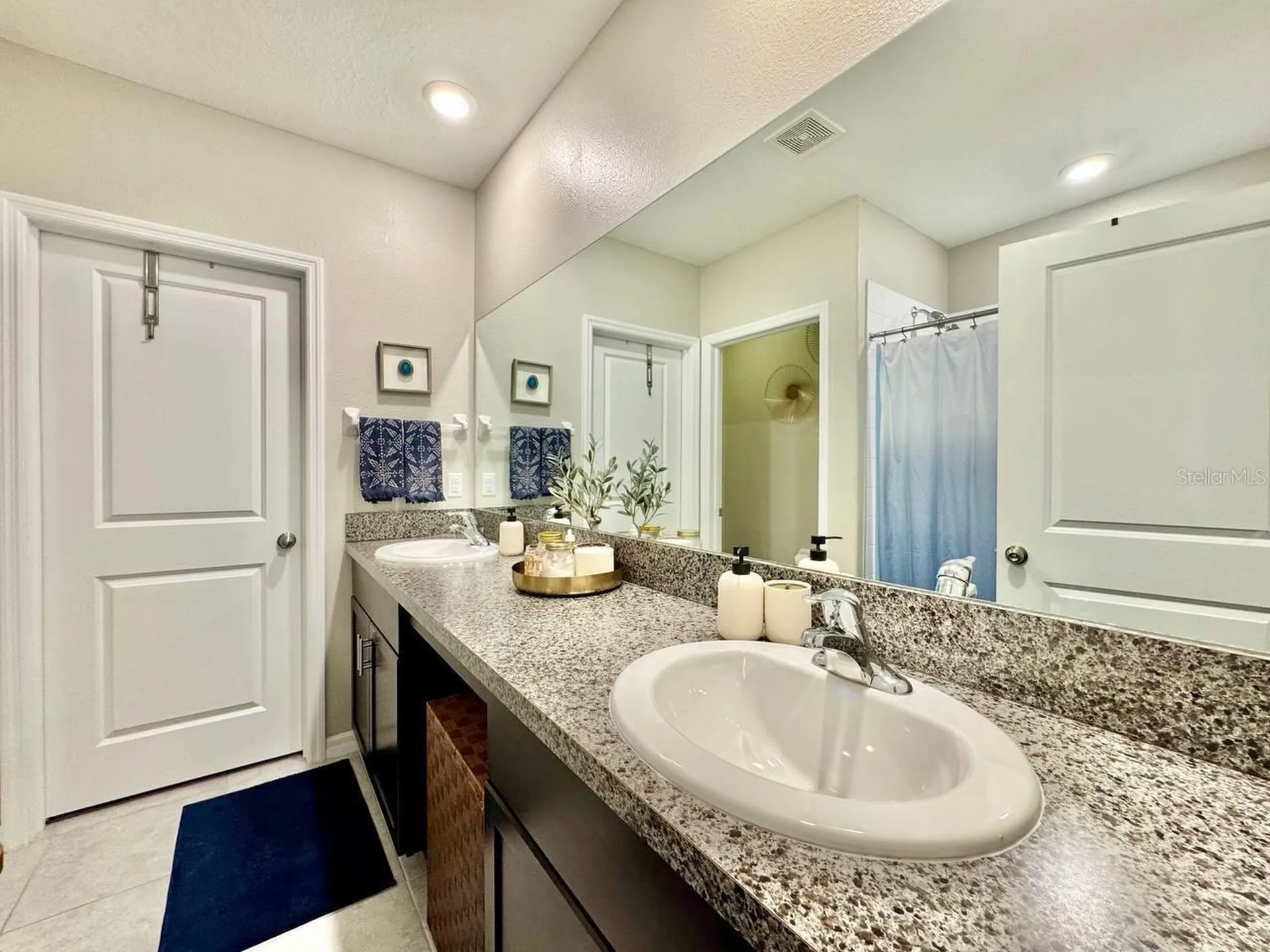 7309 Canterbury Bells Court Tampa FL 33619