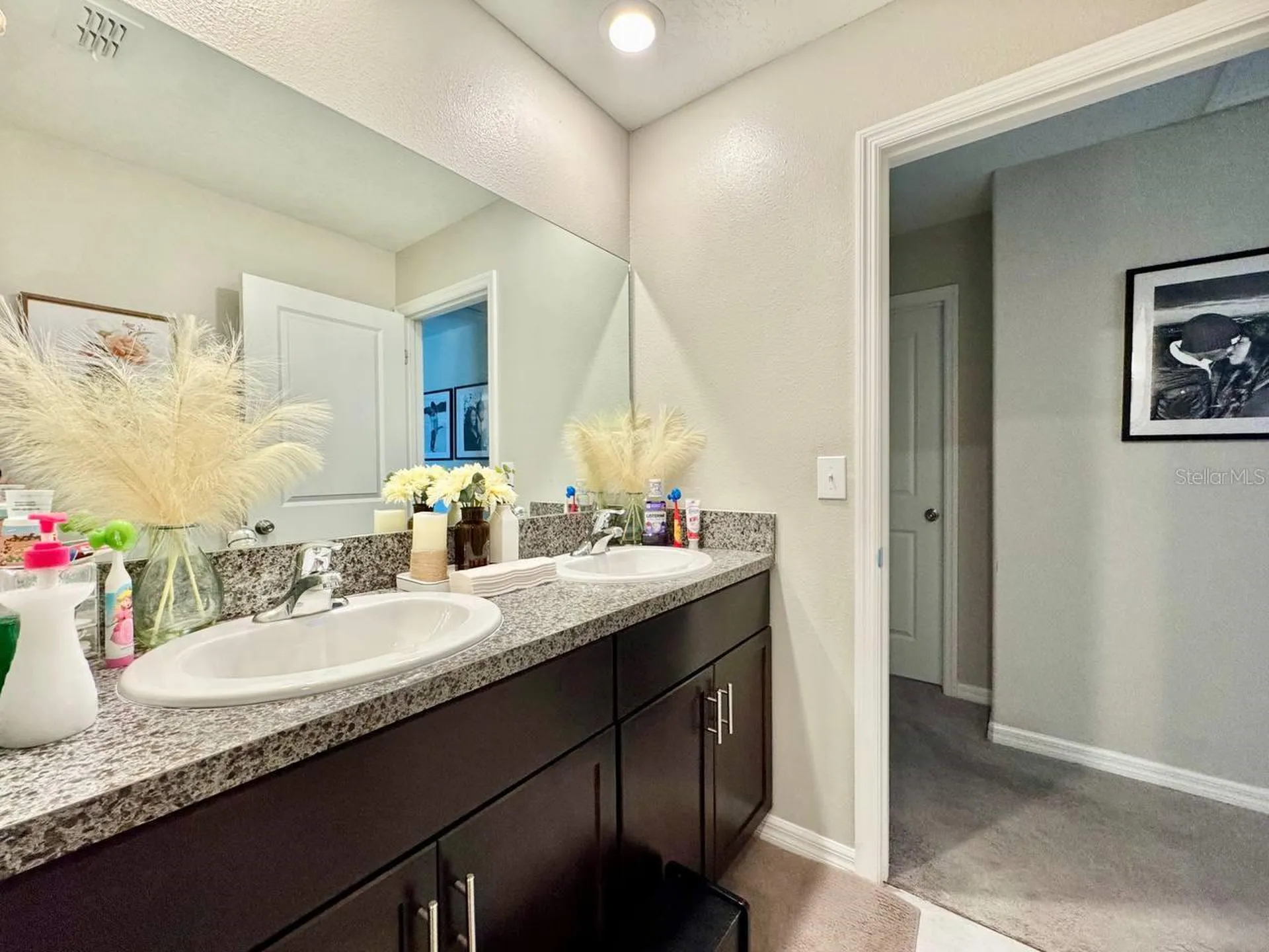 7309 Canterbury Bells Court Tampa FL 33619
