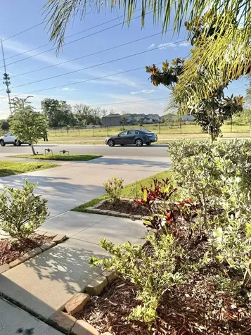 7309 Canterbury Bells Court Tampa FL 33619