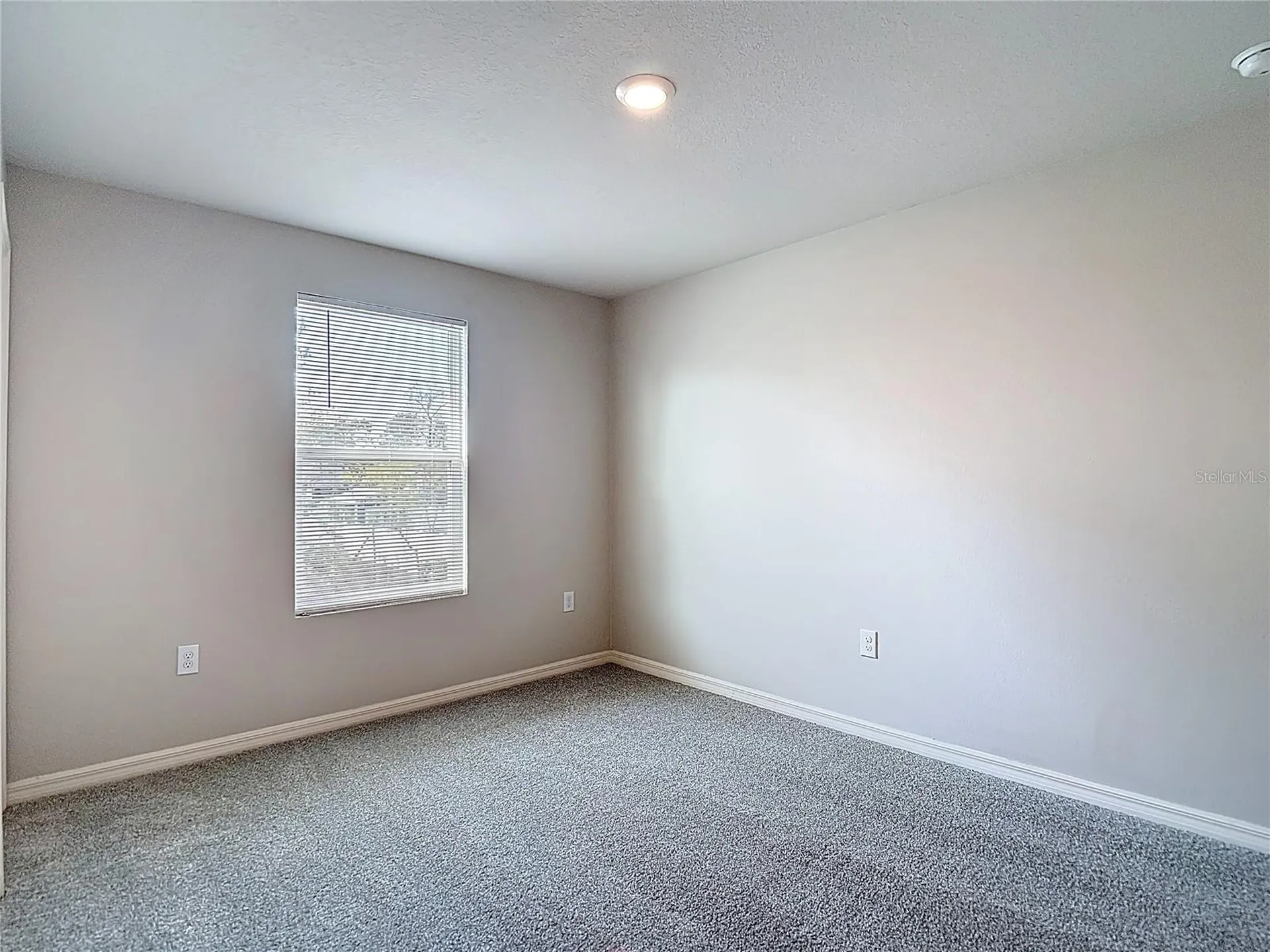 11374 Marcella Avenue Weeki Wachee FL 34614