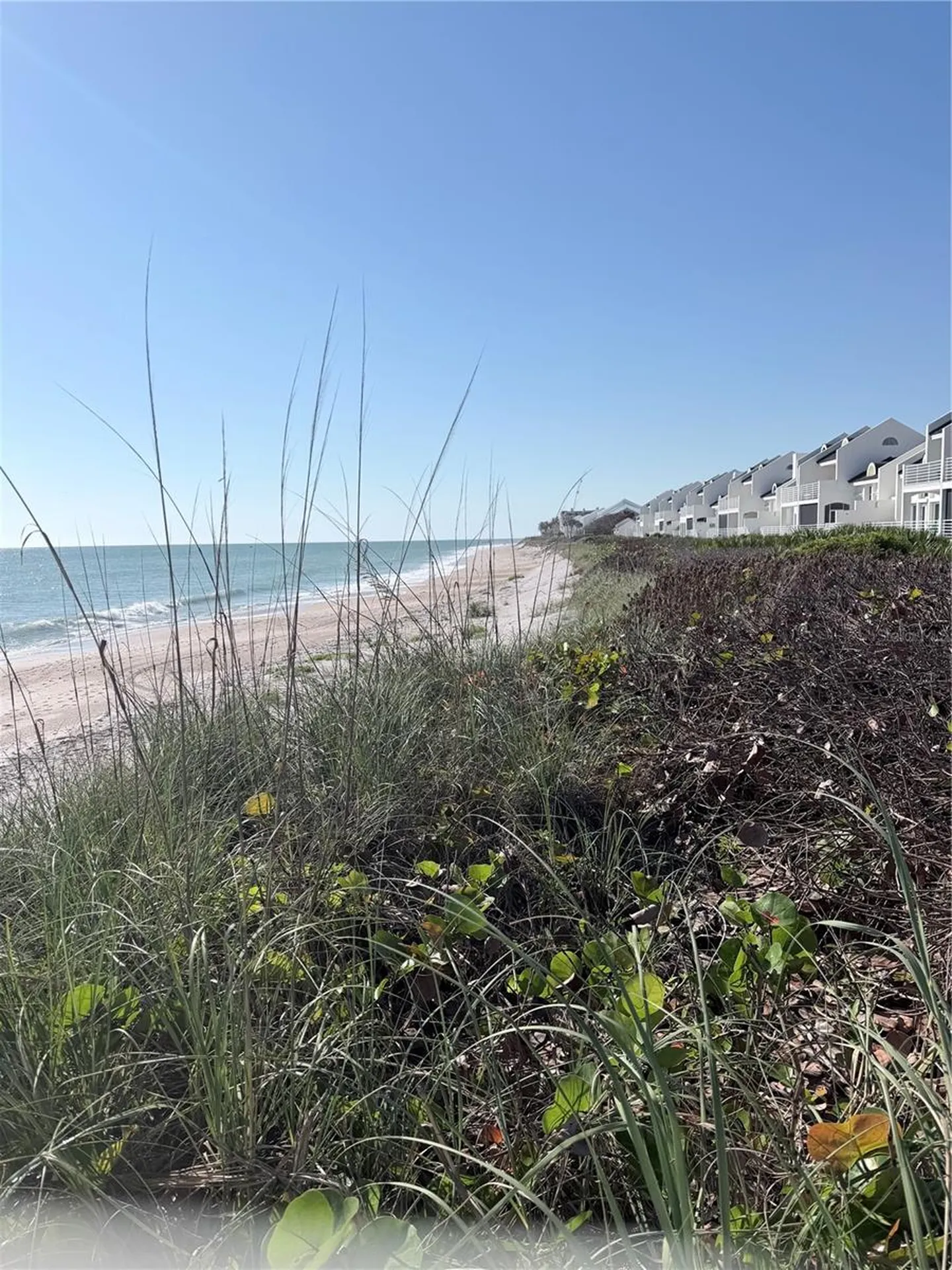 8365 Baytree Drive Vero Beach FL 32963