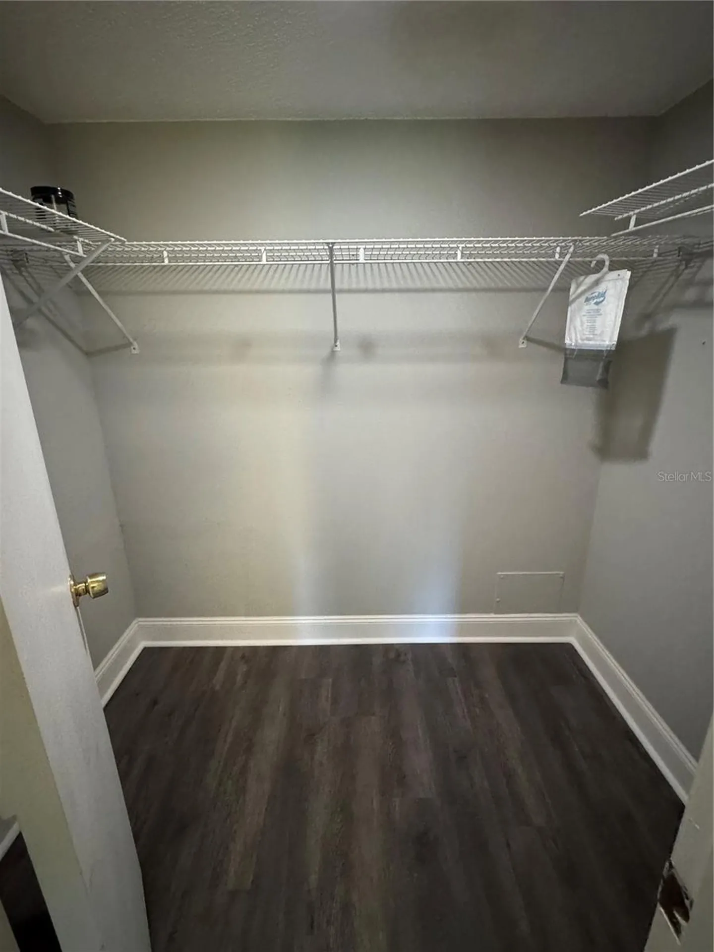 109 Pine Court Oldsmar FL 34677