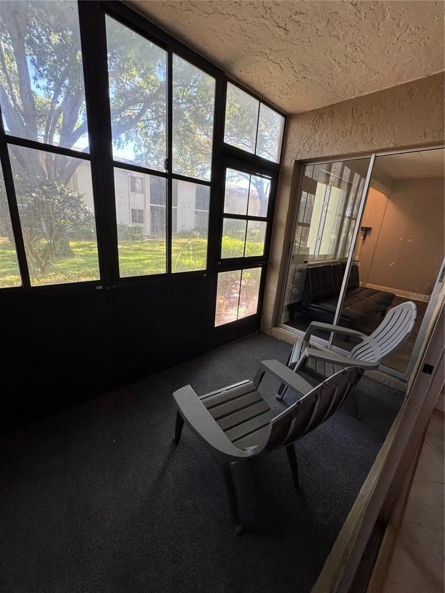 109 Pine Court Oldsmar FL 34677