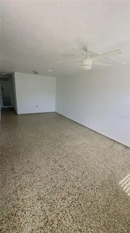 CLL9 Del Carmen Camuy PR 00627