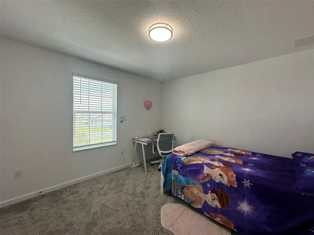 373 Pineywoods Street St Cloud FL 34772