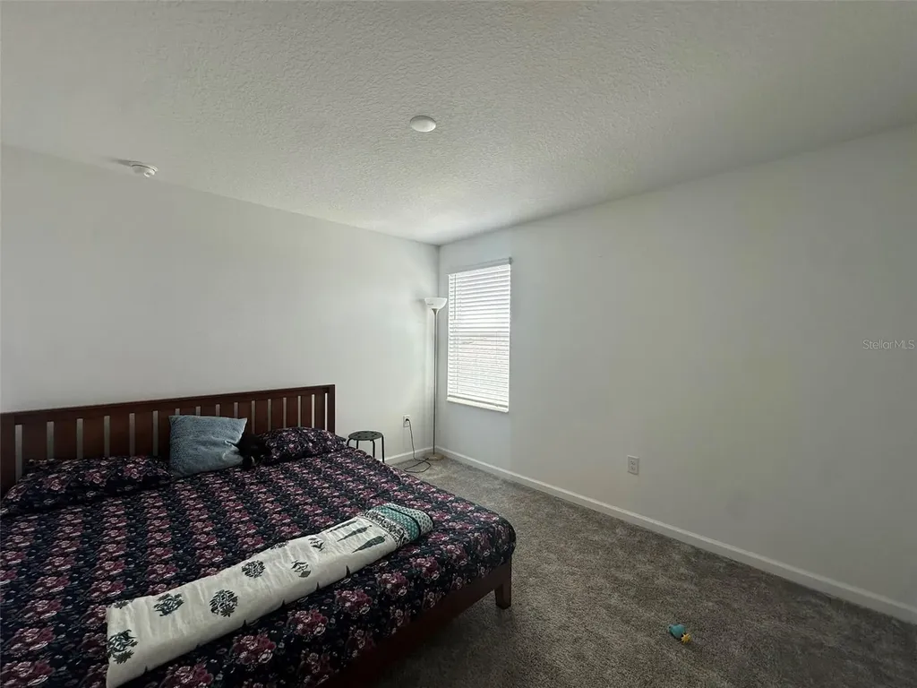 373 Pineywoods Street St Cloud FL 34772