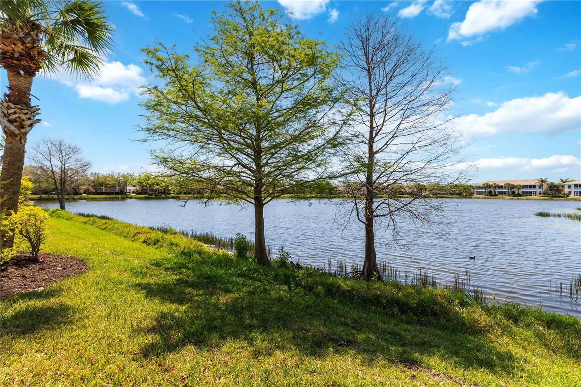 1430 Burgos Drive Sarasota FL 34238