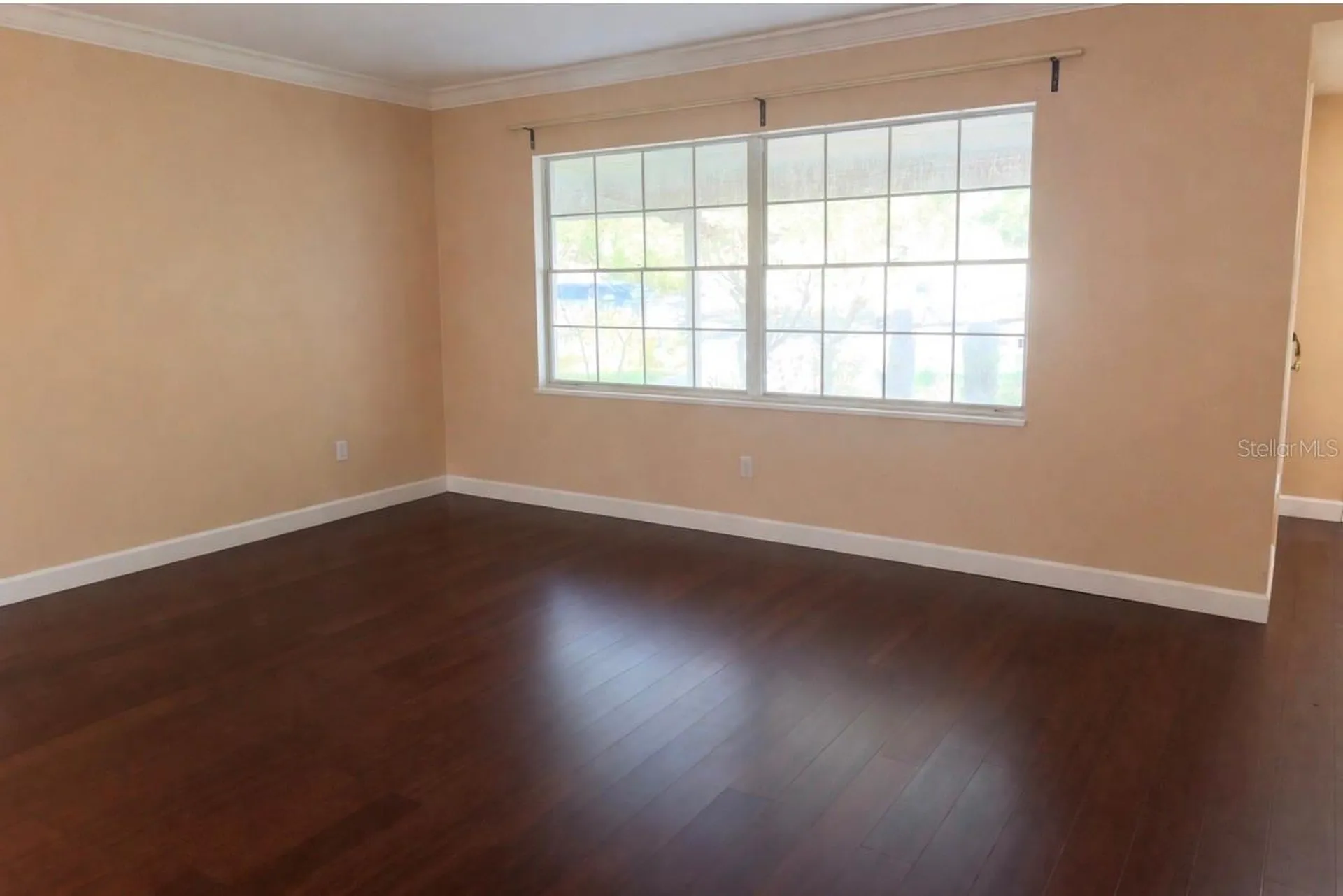 2320 Palm Avenue Seffner FL 33584