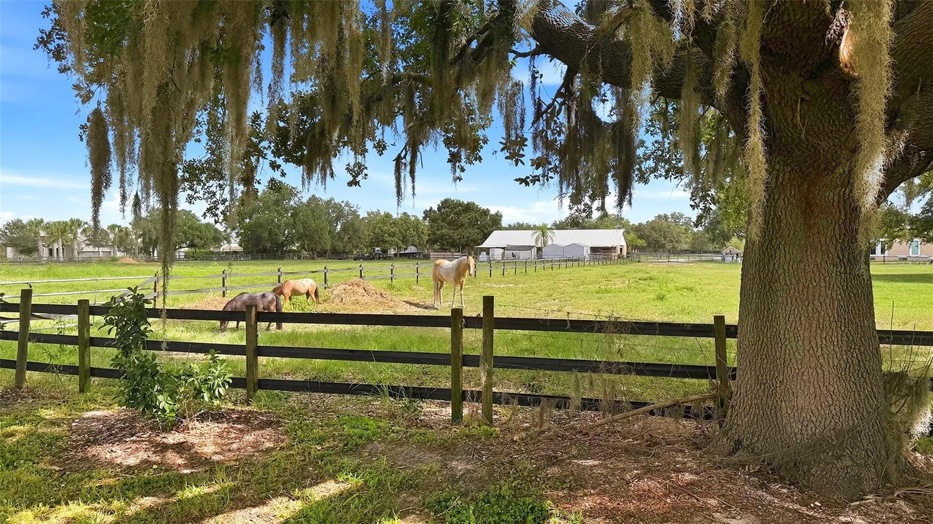 7872 Mainsail Lane Sarasota FL 34240