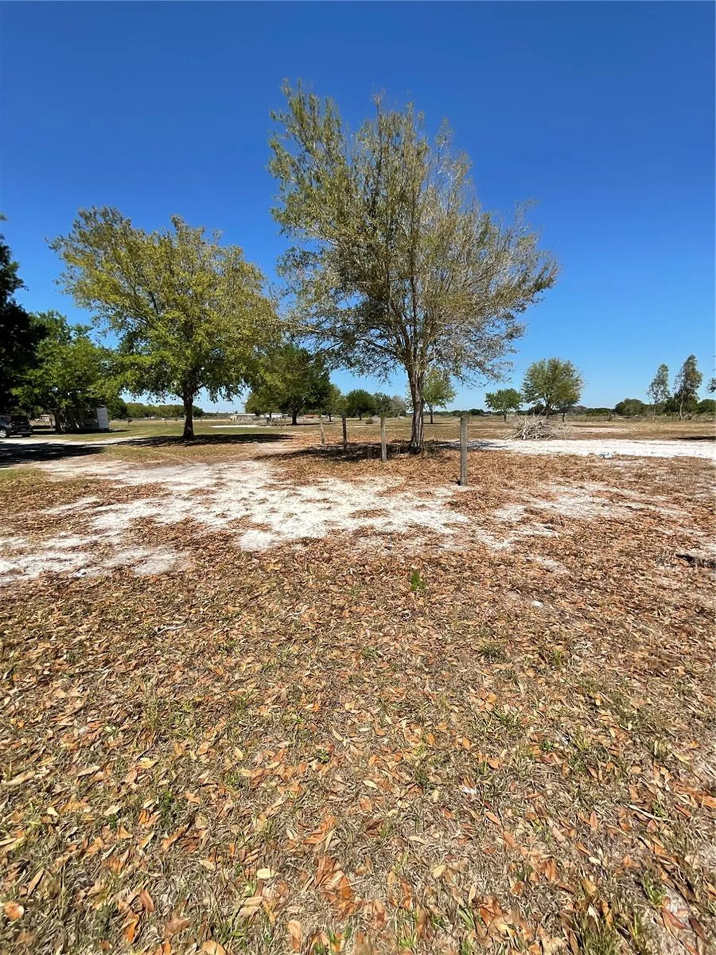 2735 Buck Drive Zolfo Springs FL 33890