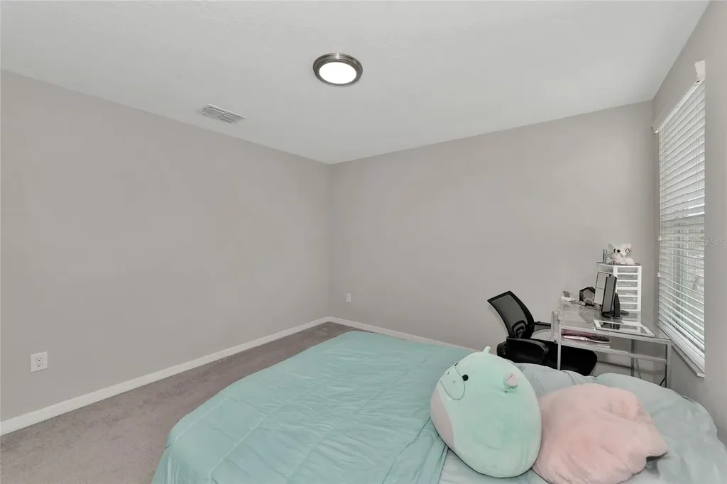 17009 Peaceful Valley Drive Wimauma FL 33598