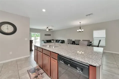 17009 Peaceful Valley Drive Wimauma FL 33598