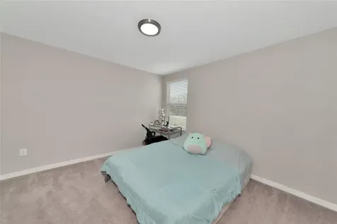 17009 Peaceful Valley Drive Wimauma FL 33598