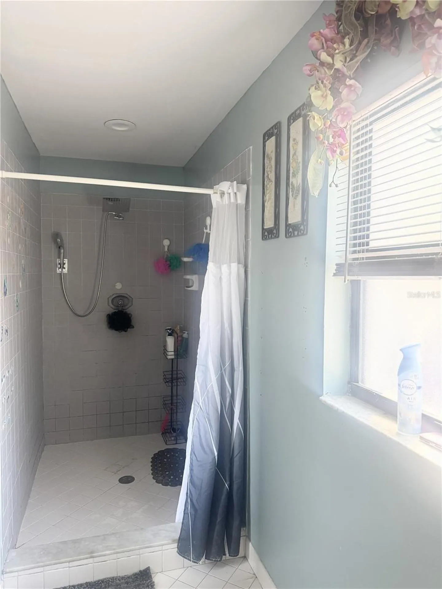 10804 N Myrtle Street Tampa FL 33617