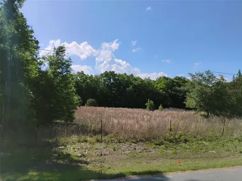 Thoroughbred Trail Sorrento FL 32776