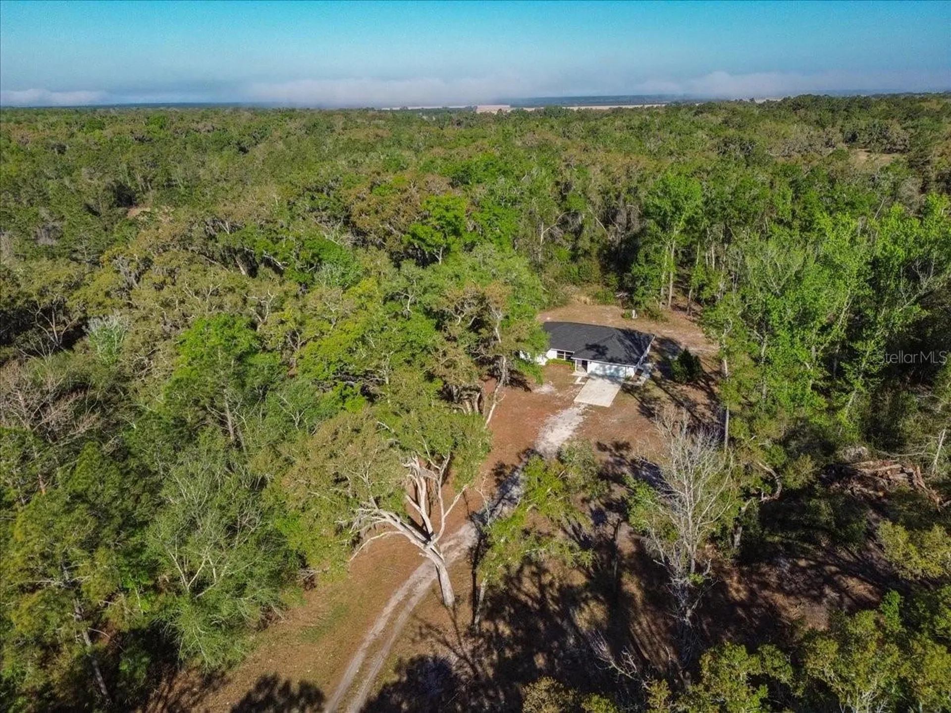 957 NE 354th Avenue Old Town FL 32680