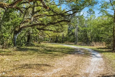 957 NE 354th Avenue Old Town FL 32680