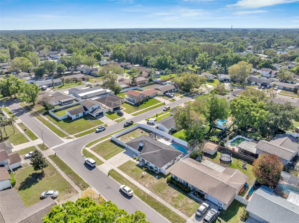 15810 Sea Oats Place Tampa FL 33624