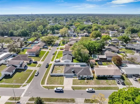 15810 Sea Oats Place Tampa FL 33624