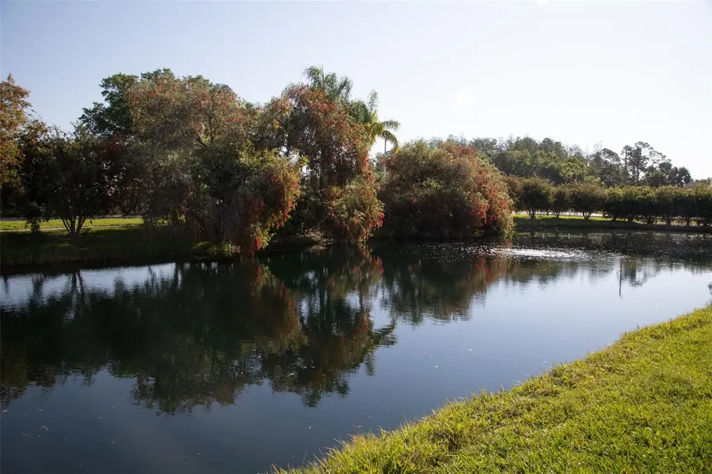 208 Hemingway Drive Oldsmar FL 34677