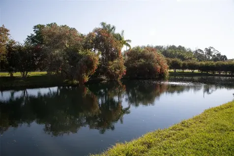 208 Hemingway Drive Oldsmar FL 34677