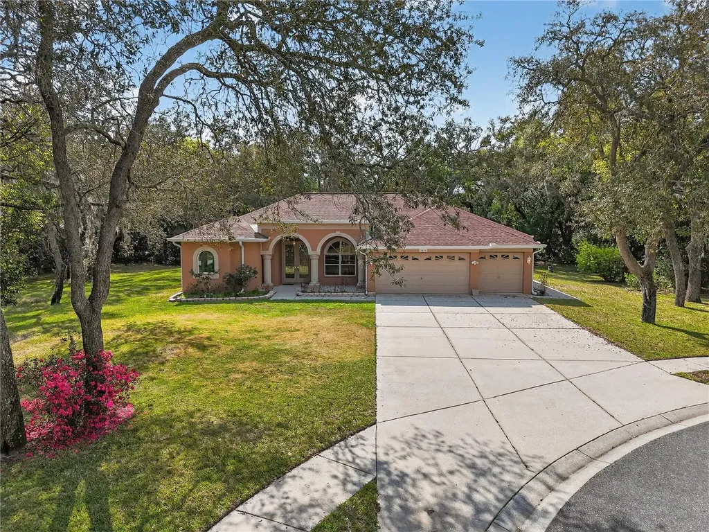 14024 Warm Springs Court Hudson FL 34667