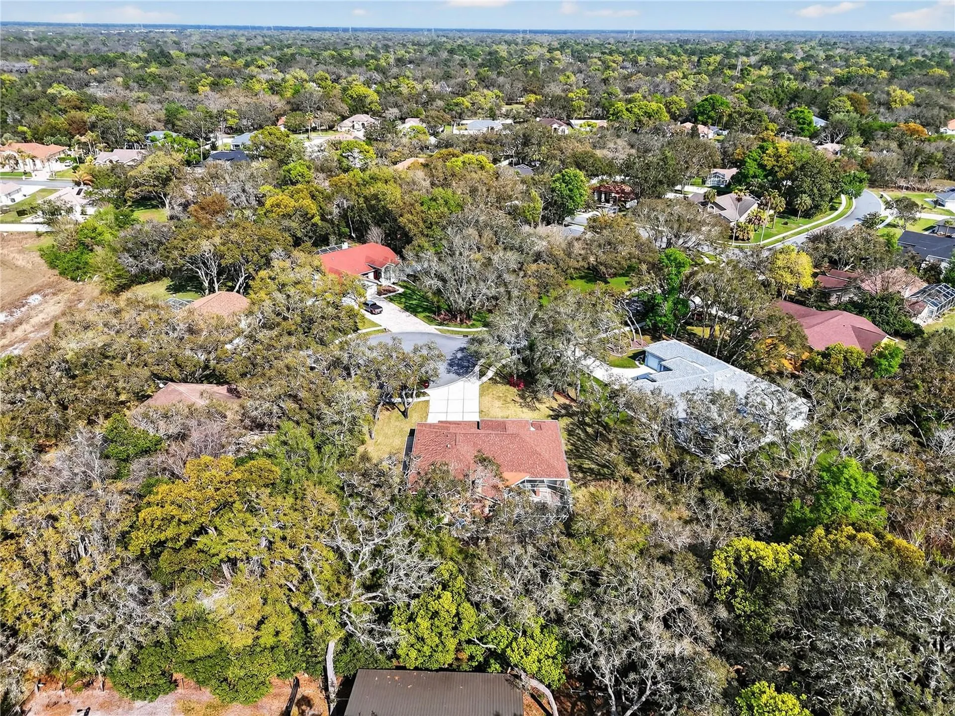 14024 Warm Springs Court Hudson FL 34667