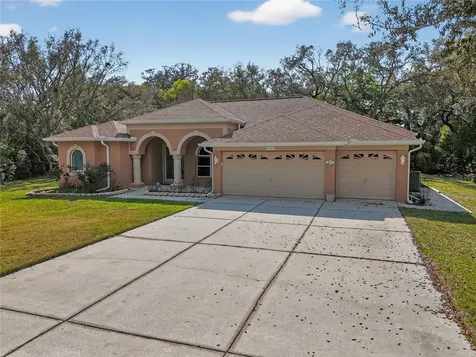 14024 Warm Springs Court Hudson FL 34667