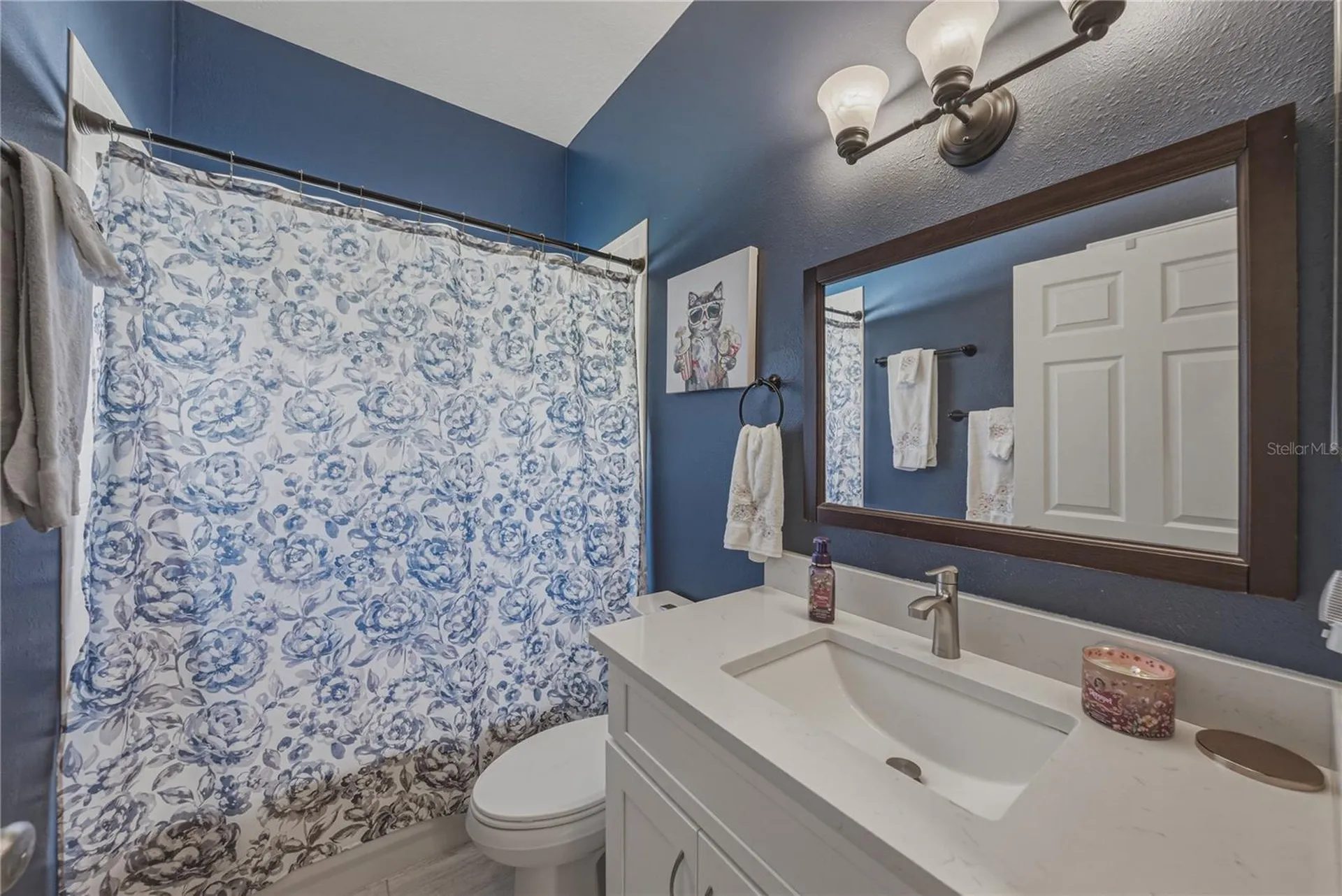 2627 Brookville Drive Valrico FL 33596