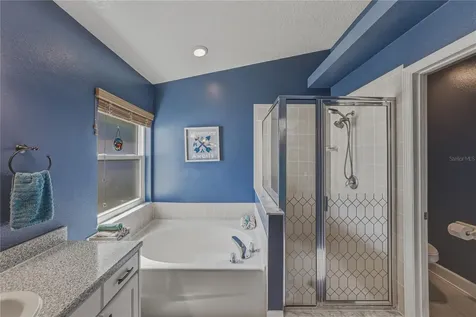 2627 Brookville Drive Valrico FL 33596