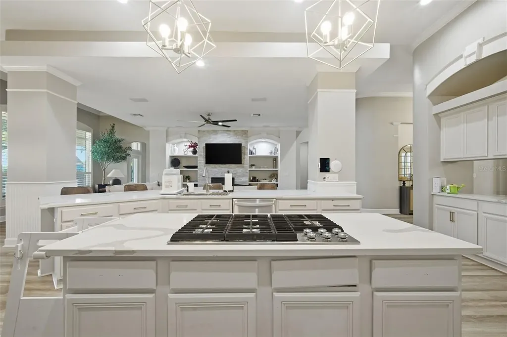 19739 Prince Benjamin Drive Lutz FL 33549