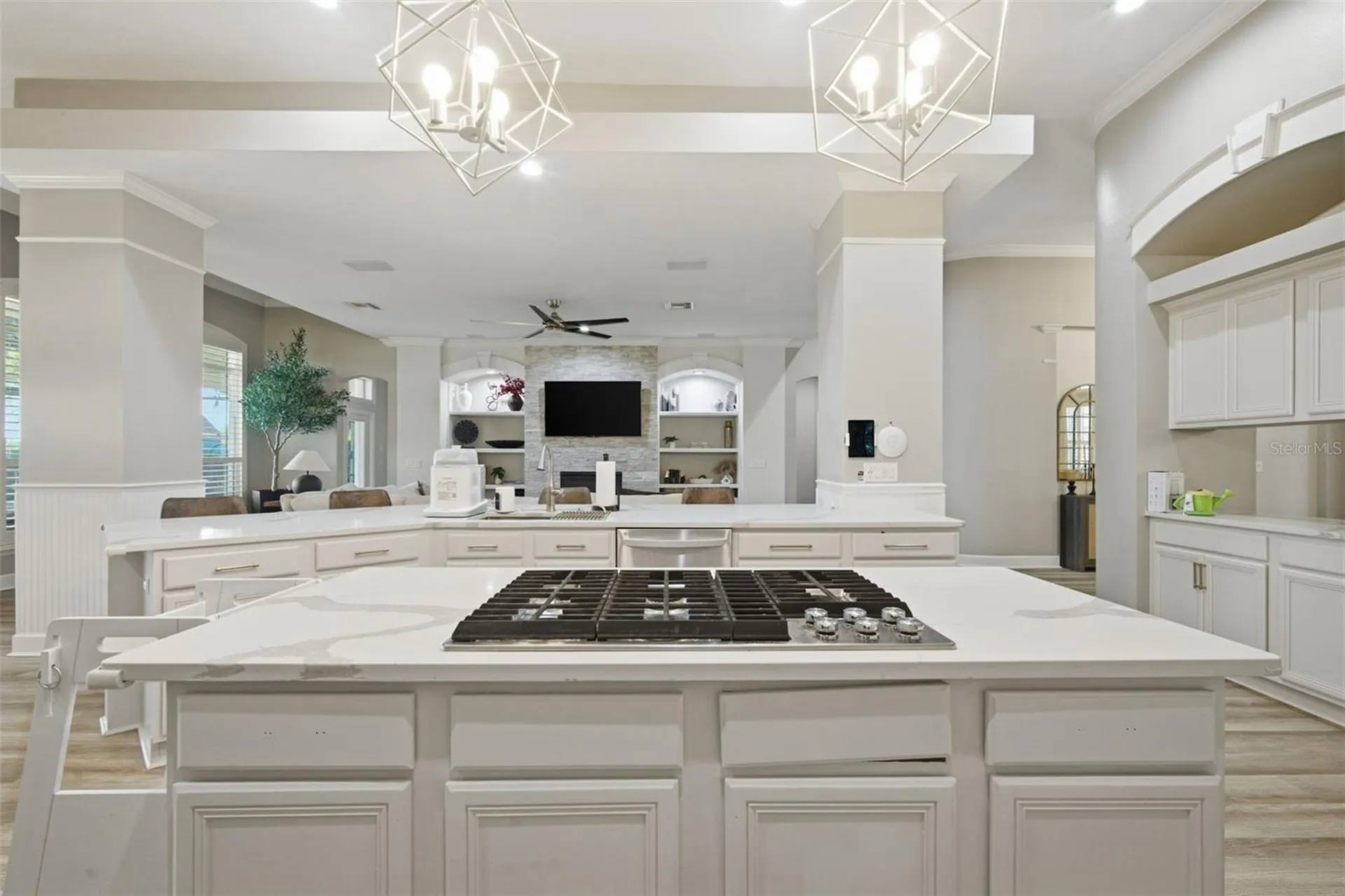 19739 Prince Benjamin Drive Lutz FL 33549