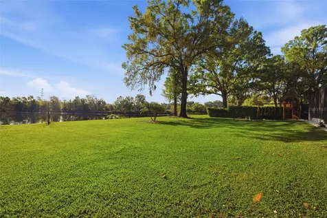 19739 Prince Benjamin Drive Lutz FL 33549