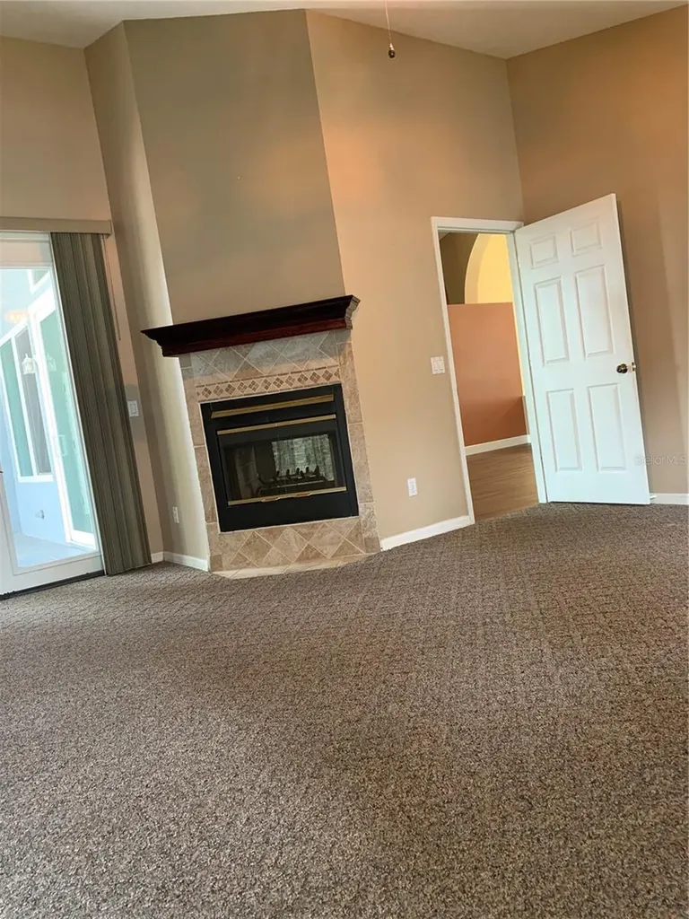 4605 Oak River Circle Valrico FL 33596