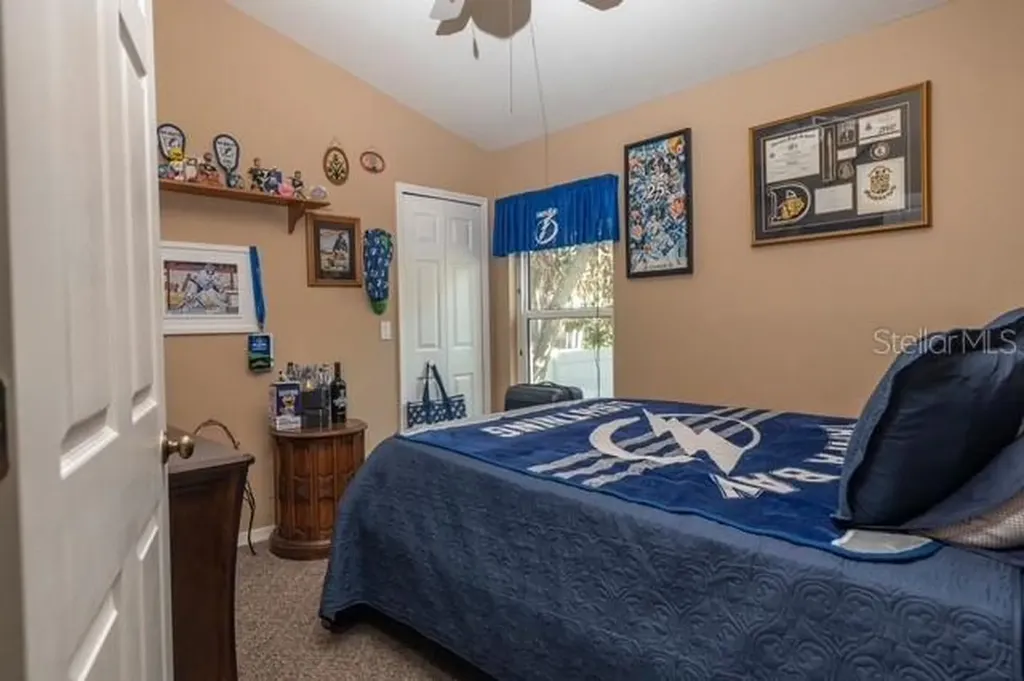 4605 Oak River Circle Valrico FL 33596