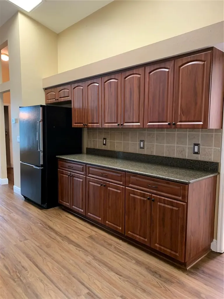 4605 Oak River Circle Valrico FL 33596