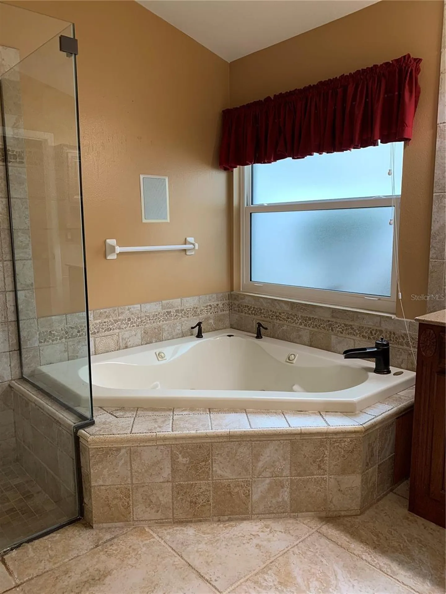 4605 Oak River Circle Valrico FL 33596