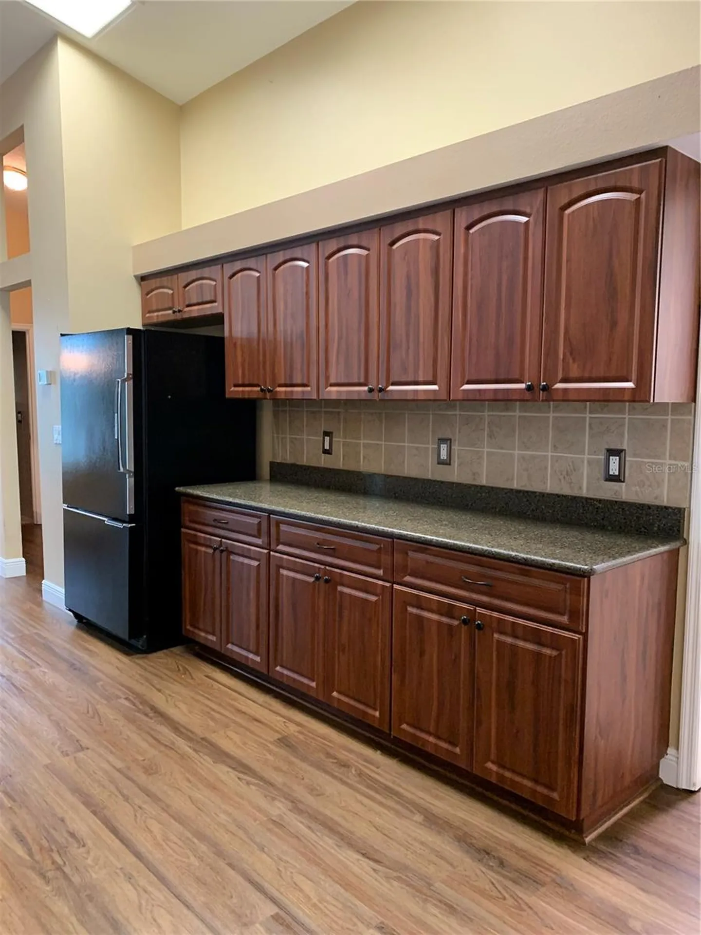 4605 Oak River Circle Valrico FL 33596