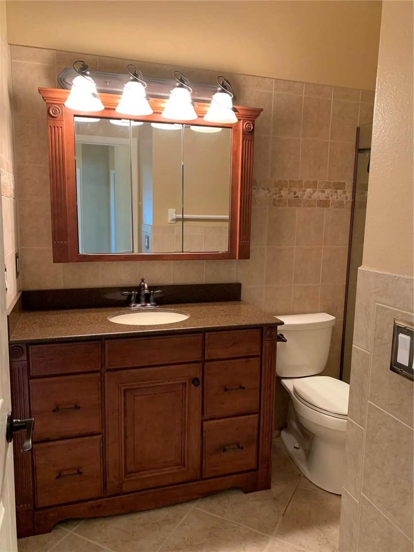 4605 Oak River Circle Valrico FL 33596