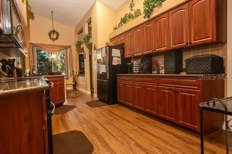 4605 Oak River Circle Valrico FL 33596